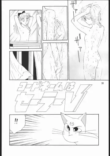 [Funabori Nariaki - Hijikata Shirou - O.ri] うさぎがピョン!! Fhentai.net - Page 29