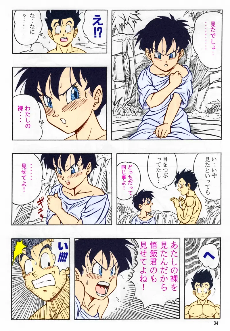 [Garland] DRAGONBALL H Soushuuhen Fhentai - Page 33
