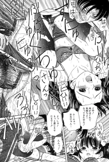 [Tanaka-ex] Onii-chan Mou! Fhentai - Page 18