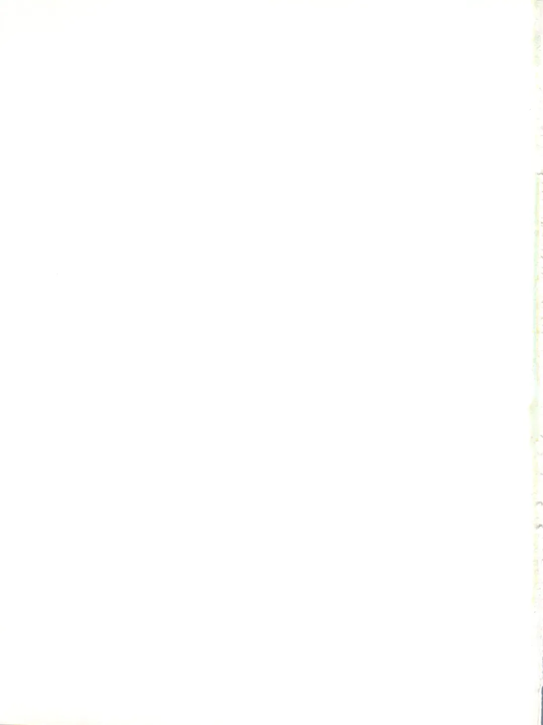 [Chiba Dirou] Plane Vol. 00 Fhentai - Page 19