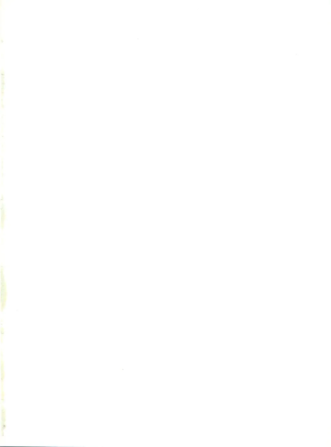 [Chiba Dirou] Plane Vol. 00 Fhentai - Page 2