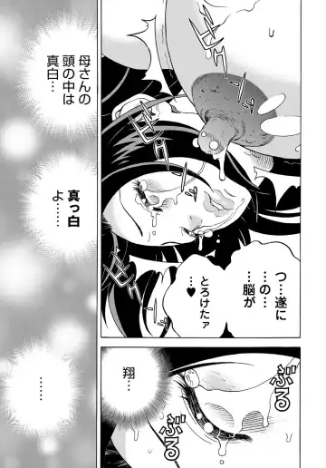 COMIC Magnum Vol. 91 Fhentai - Page 206