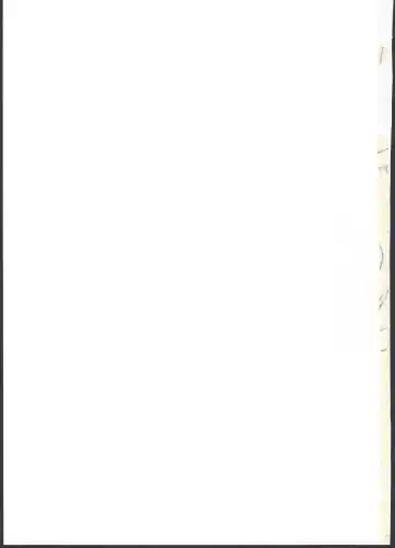 [Sasahara Yuuki] FG5.0 Fhentai - Page 19