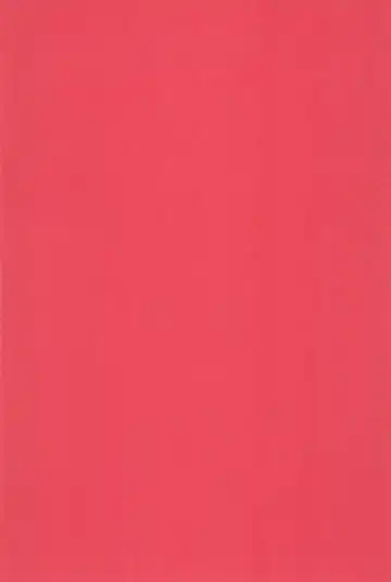 [Amano Manabu] Koudou Gayoi Fhentai - Page 4