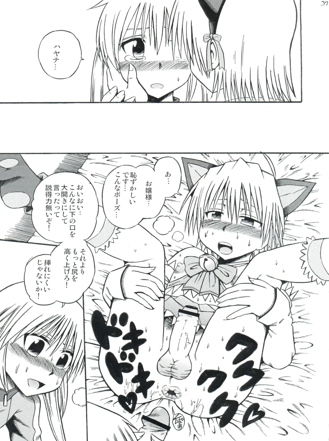 [Shiawase Ninaru - Yosage Yoshikazu] Hayate 18-kin Shoubu! Fhentai - Page 36