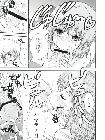 [Shiawase Ninaru - Yosage Yoshikazu] Hayate 18-kin Shoubu! Fhentai.net - Page 14