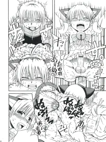 [Shiawase Ninaru - Yosage Yoshikazu] Hayate 18-kin Shoubu! Fhentai.net - Page 29