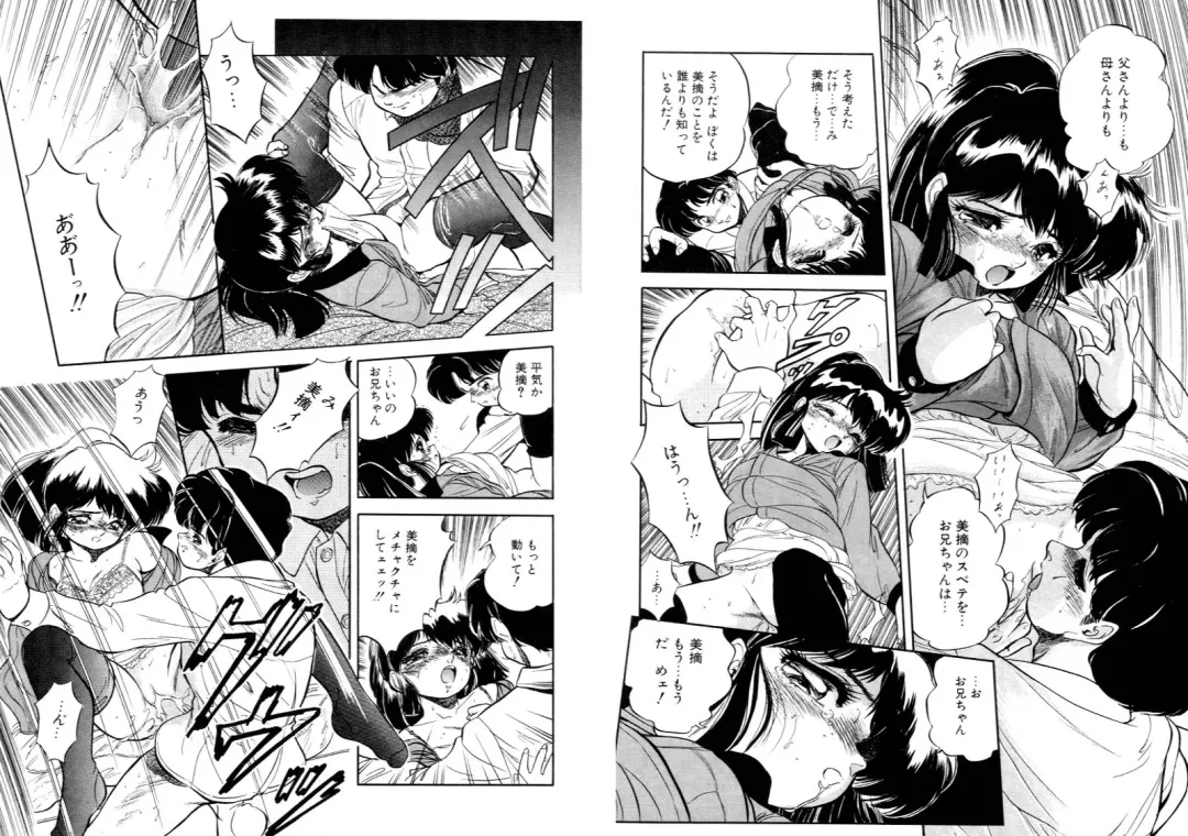 [Tomozawa Shou] Mitsuiro Otogibanashi Fhentai - Page 39