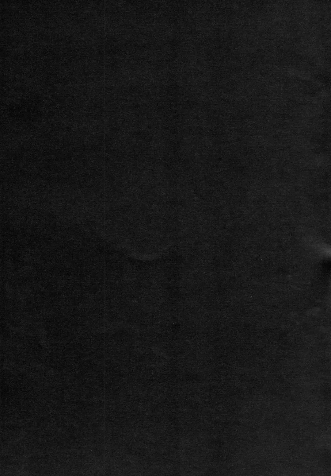 [Imizu] Remilia Ojou-sama no Bonnou Fhentai - Page 19