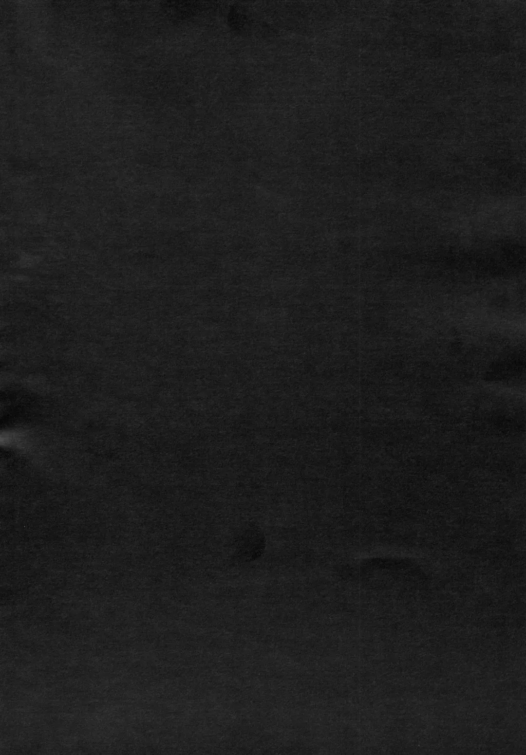 [Imizu] Remilia Ojou-sama no Bonnou Fhentai - Page 47