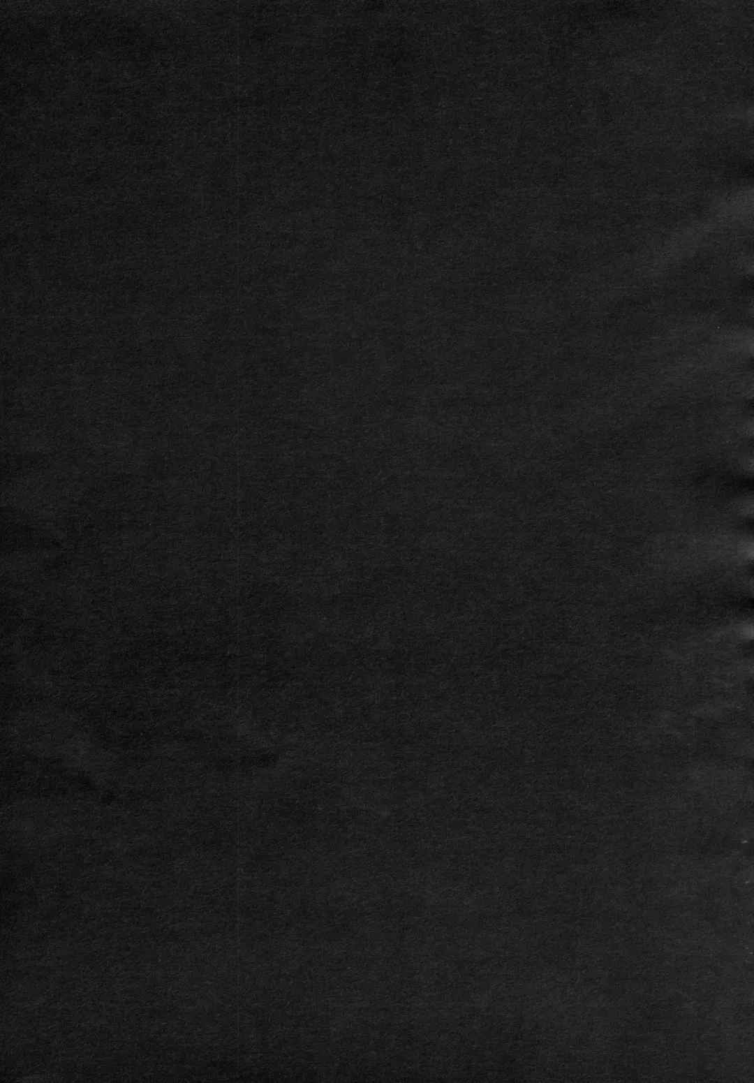 [Imizu] Remilia Ojou-sama no Bonnou Fhentai - Page 48