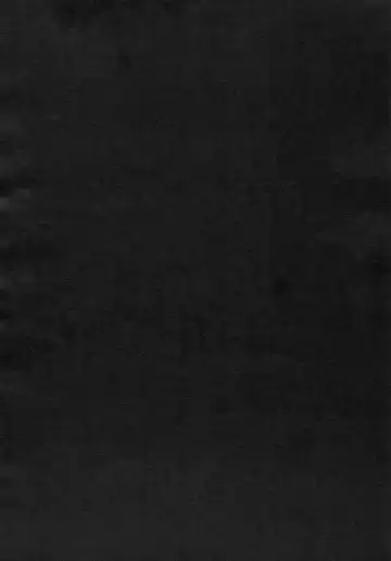 [Imizu] Remilia Ojou-sama no Bonnou Fhentai - Page 55