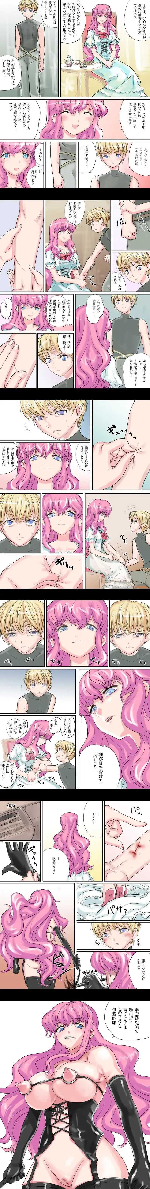 [Nanashi] Elizabeth Hime Fhentai - Page 12