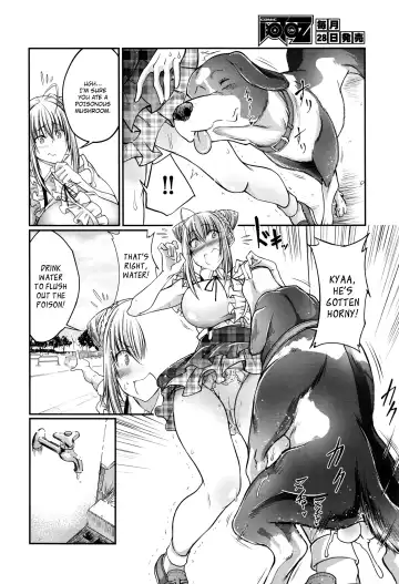 [Tenzen Miyabi] Kinoko Takenoko  | Mushroom Bamboo Shoot Fhentai - Page 4