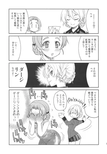 [Inoue Yoshihisa] Darjeeling-sama no Ponytail Fhentai - Page 21