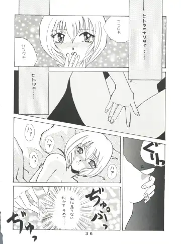 T.C. Virgo Fhentai - Page 36