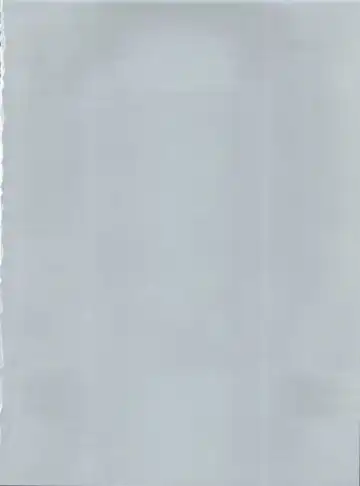 T.C. Virgo Fhentai - Page 4