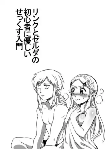 [Wasabi] Link to Zelda no Shoshinsha ni Yasashii Sex Nyuumon - Fhentai