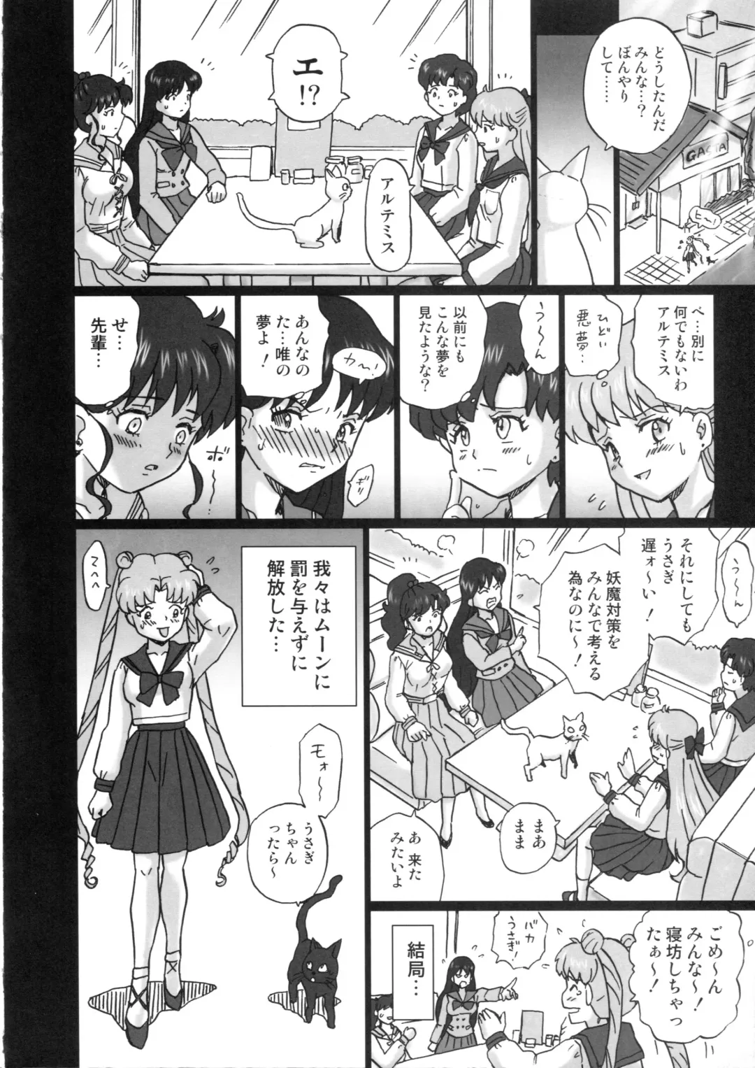 [Irie Yamazaki] TAIL-MAN SAILORMOON 5GIRLS BOOK Fhentai - Page 31