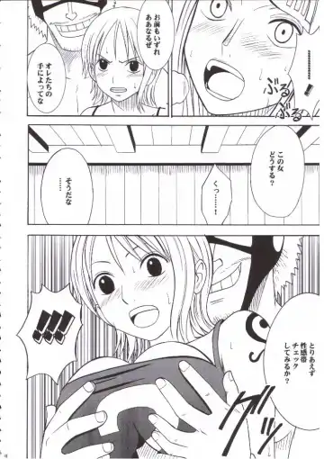 [Crimson] Nami Robin Double Hard Fhentai - Page 17