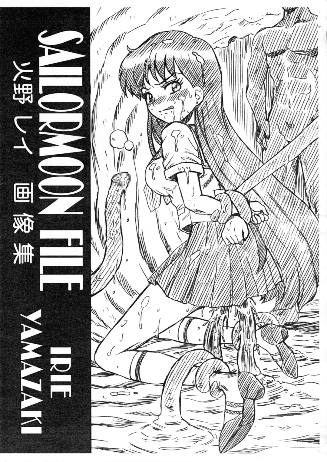 Read [Irie Yamazaki] SAILORMOON FILE Hino Rei Gazoushuu - Fhentai.net