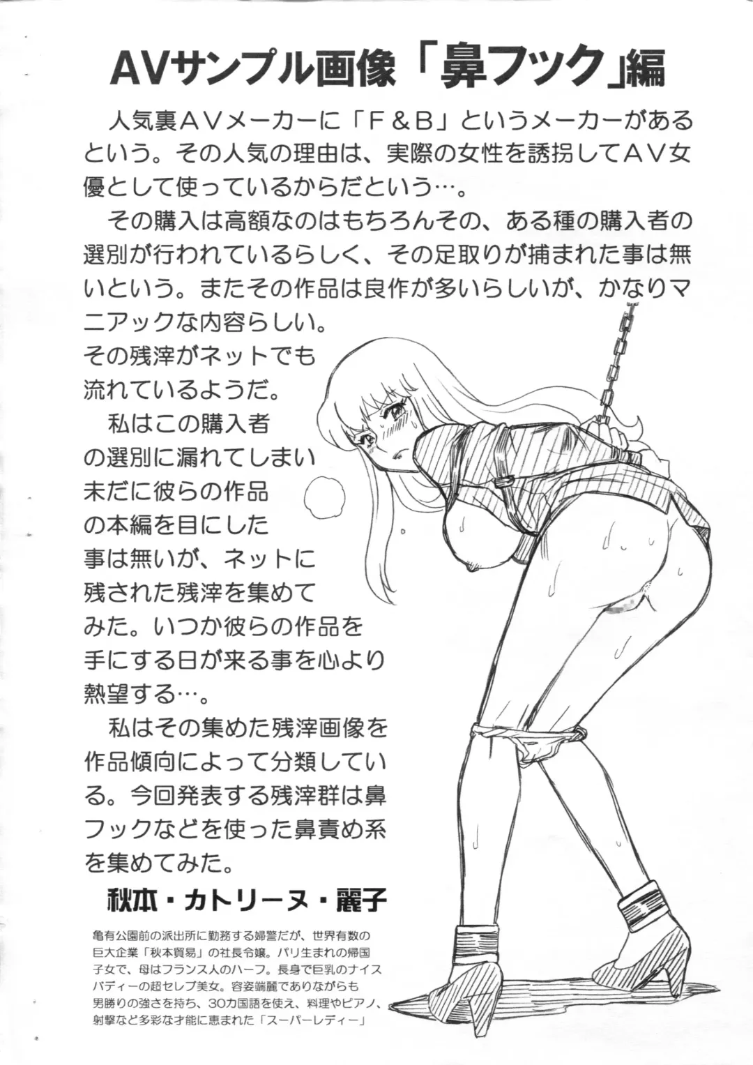 [Irie Yamazaki] F&B AV Sample File Akimoto Katherine Reiko Gazoushuu Fhentai - Page 2