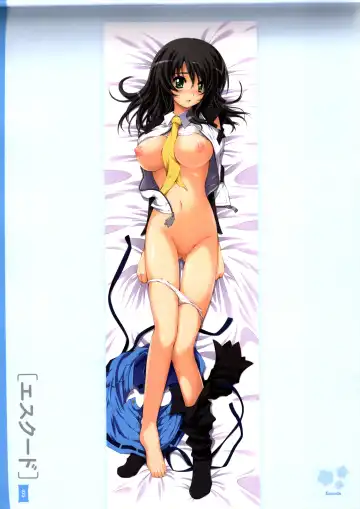 [Hinoue Itaru] Dakimakura Cover Gashuu Bishoujo Game Hen Fhentai.net - Page 27