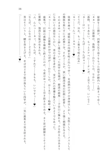 [Okuri Banto - Satou Kuuki] FGO Reiju NTR Goudoushi Inkoku Reiju Fhentai - Page 39