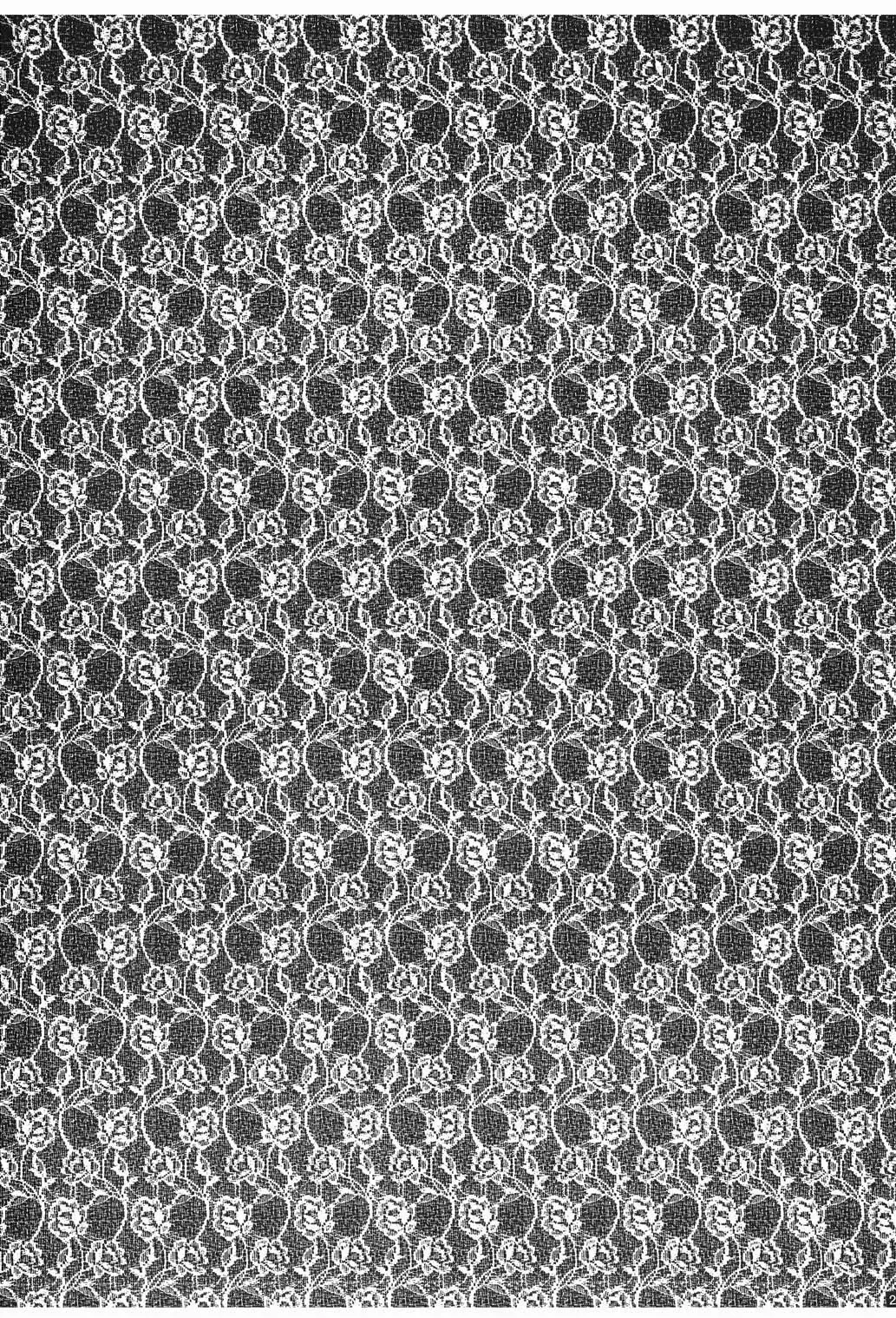 [Kazuki Yuu] Primavera Fhentai - Page 21