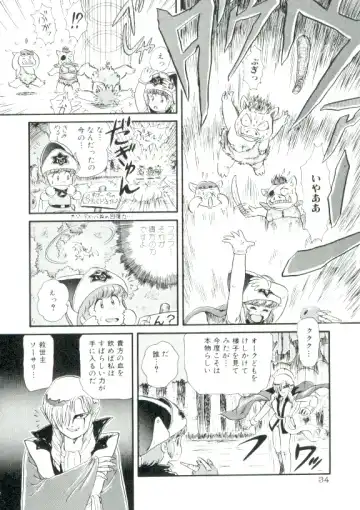 [Minion] Madou Momogatari Socerlita Fhentai - Page 31