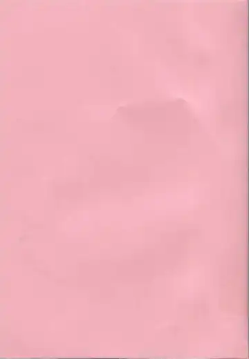 [Riki] Coquettich Shokai Genteiban Fhentai - Page 9