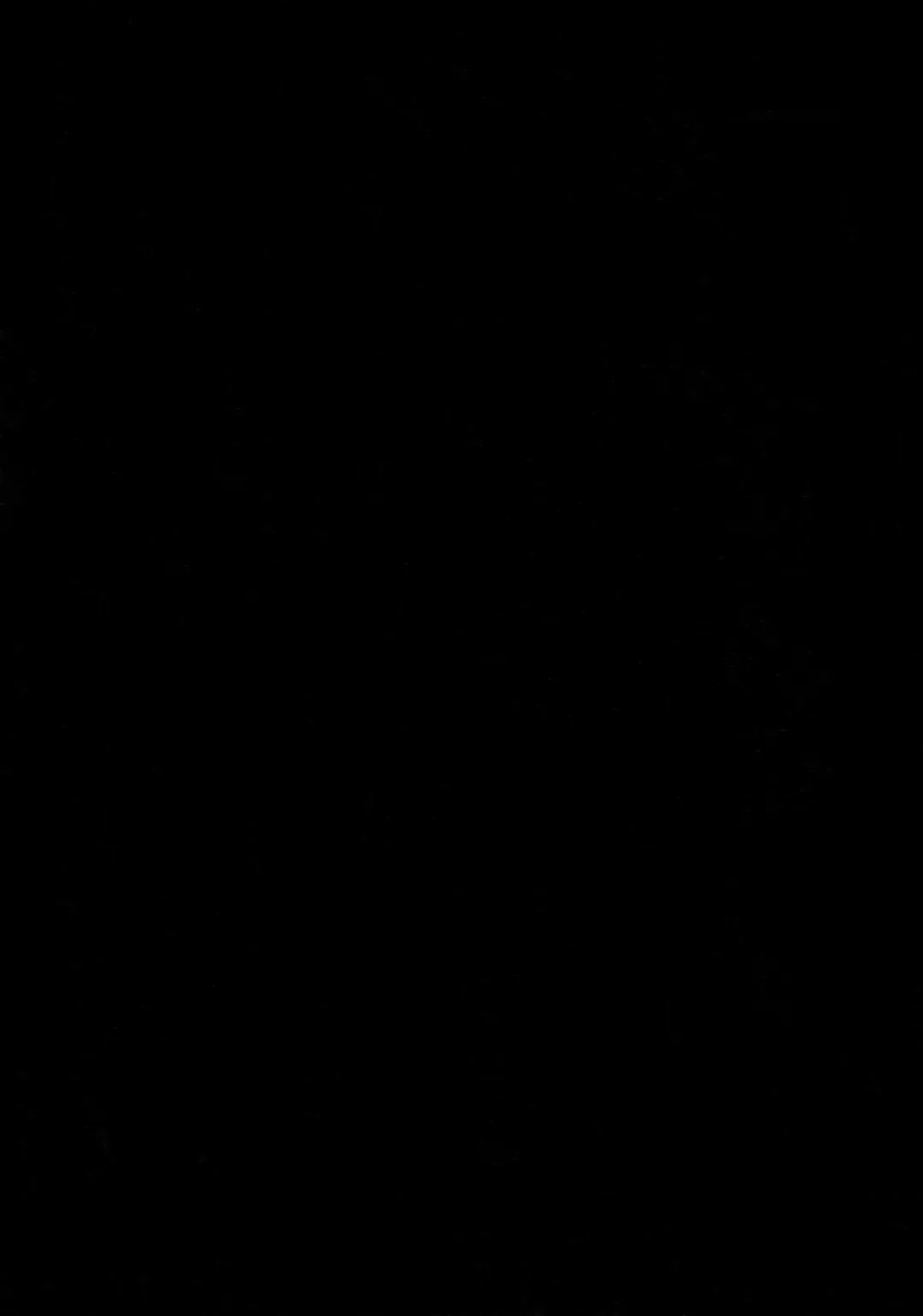 [Yami No Naka] Onii-san, Chotto Asondekanai? Fhentai - Page 3