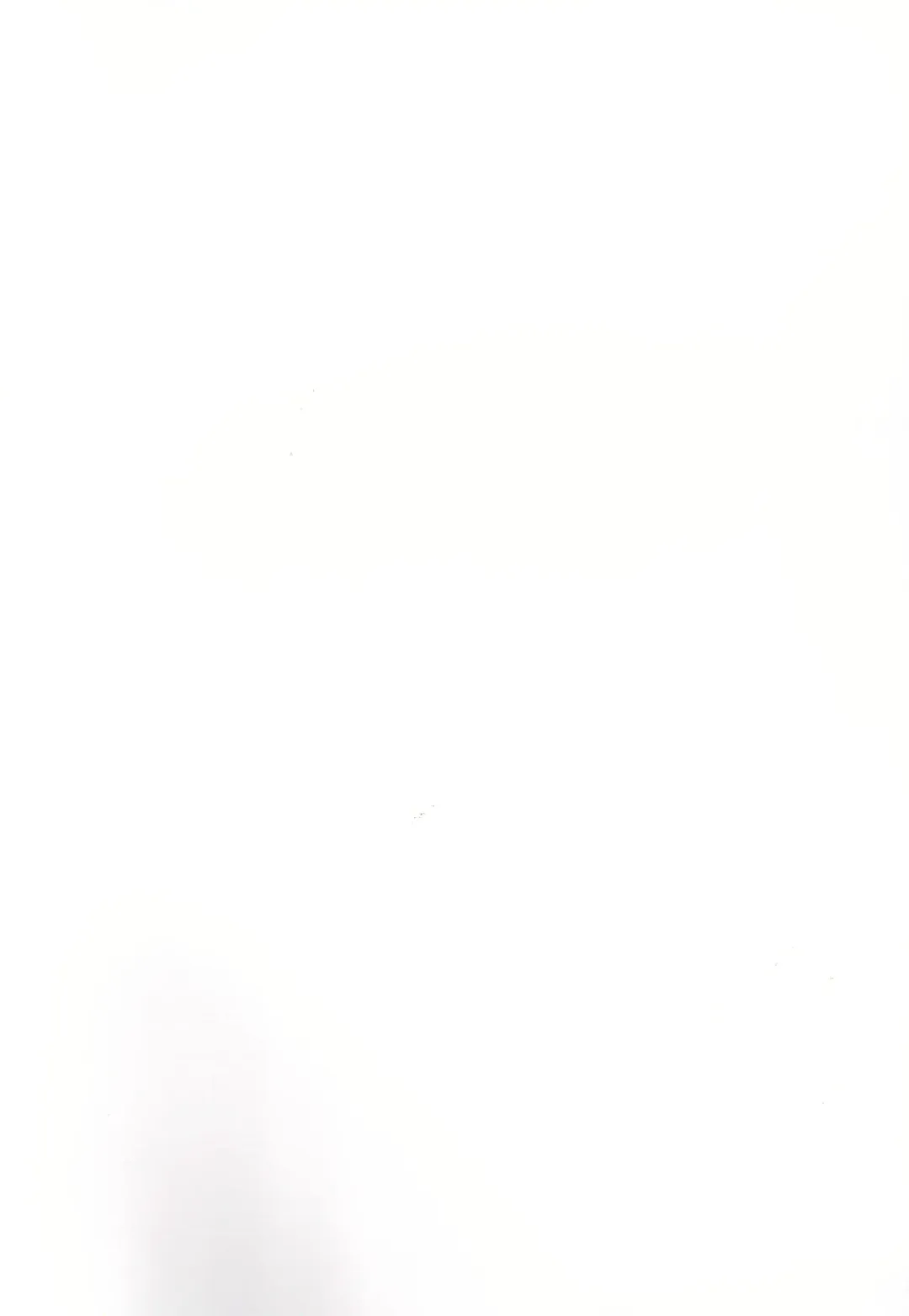 [Maginosuke] Rukakonosusume Fhentai - Page 2