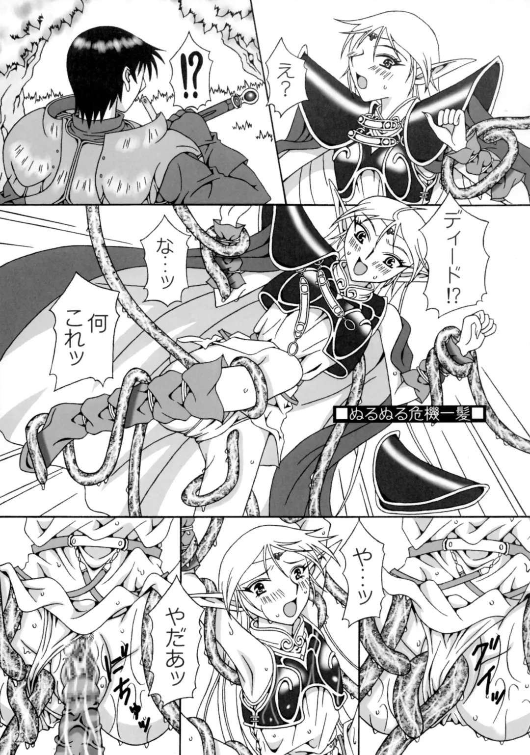 [Nakaya] Piko Piko Deedlit Fhentai - Page 22