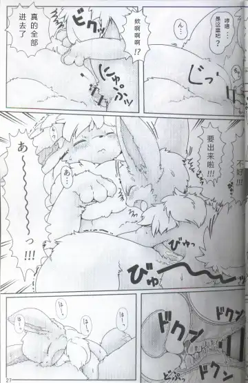 [Ashitani Yukihisa - Kajiura - Kesupu] EeveeROlution 2 | 伊布色情进化2 Fhentai - Page 23