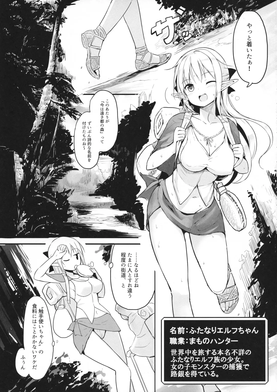 [Messy] Futanari Elf-chan Fhentai - Page 5