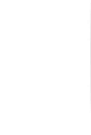 Kemono No Yoake Fhentai - Page 25