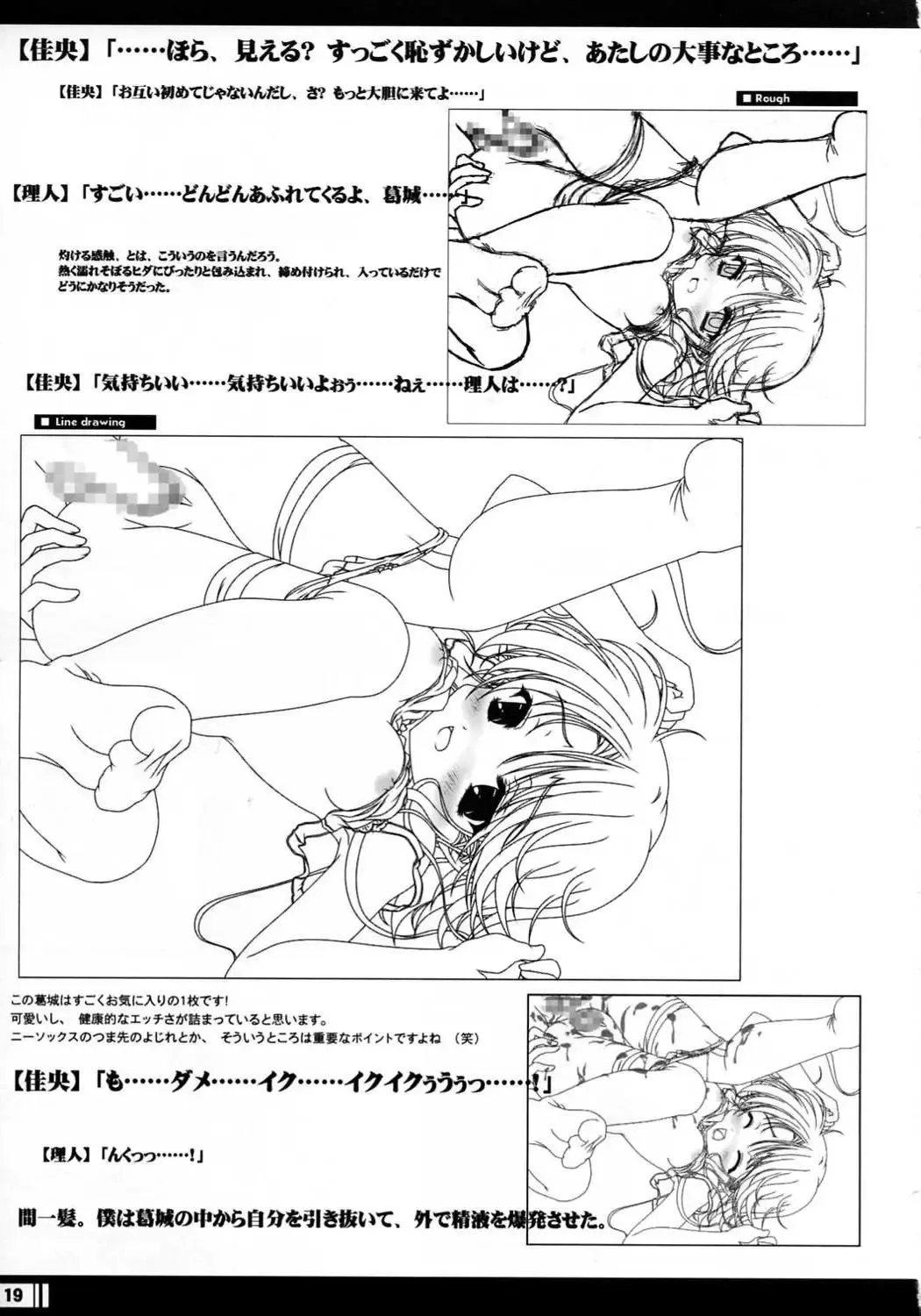 [Miyama Zero] Princess Brave! Jantaku no Kishi - Settei Gengashuu Fhentai - Page 18