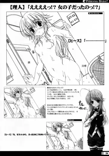 [Miyama Zero] Princess Brave! Jantaku no Kishi - Settei Gengashuu Fhentai - Page 23