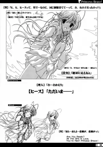 [Miyama Zero] Princess Brave! Jantaku no Kishi - Settei Gengashuu Fhentai - Page 37