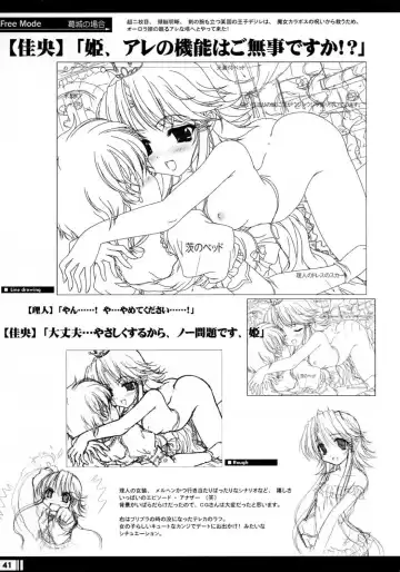 [Miyama Zero] Princess Brave! Jantaku no Kishi - Settei Gengashuu Fhentai - Page 40