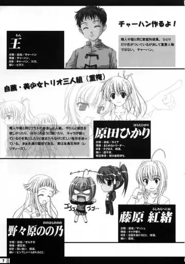 [Miyama Zero] Princess Brave! Jantaku no Kishi - Settei Gengashuu Fhentai - Page 6