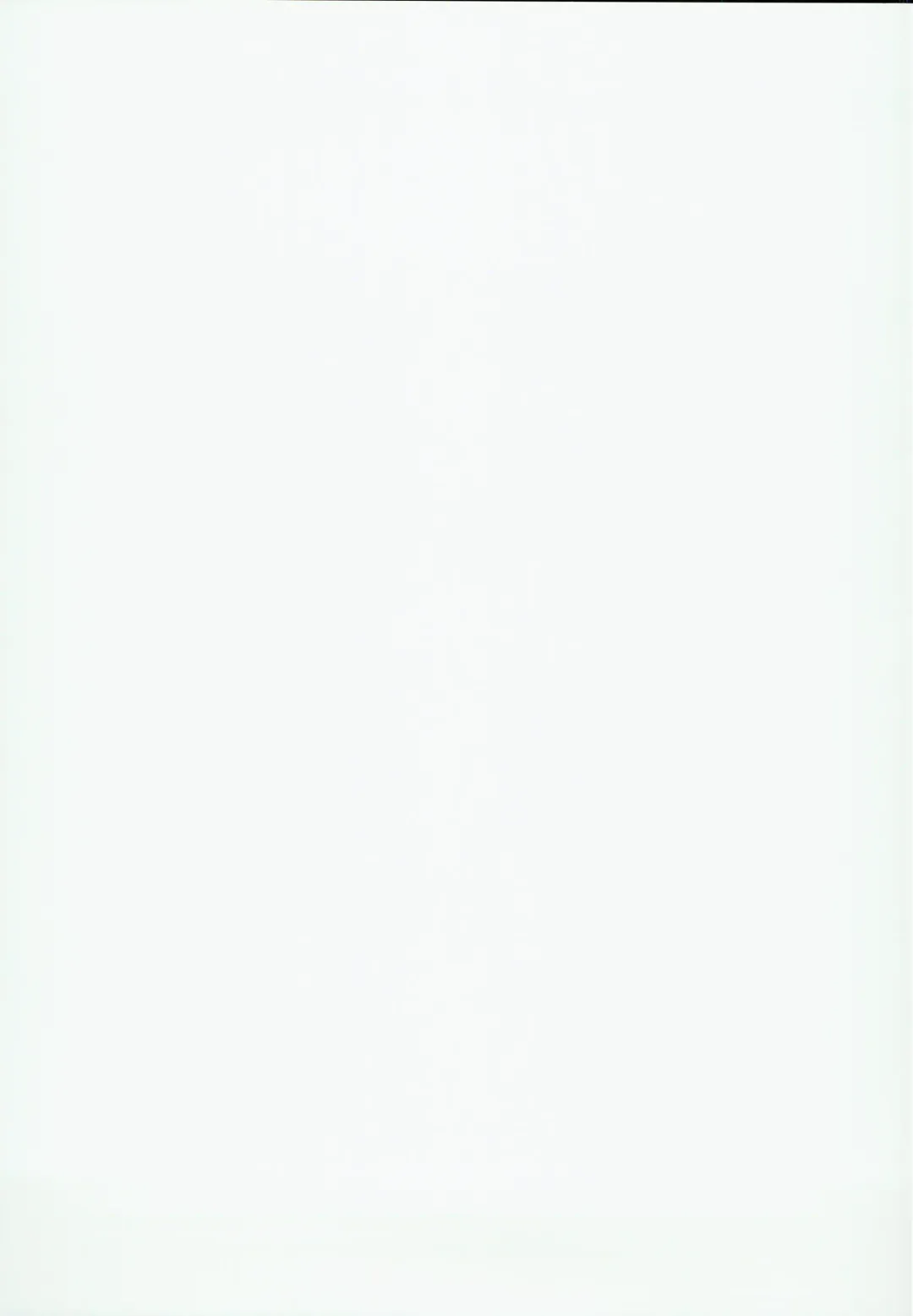 [Toraisi666] BB no Fukenzen na Illust-bon Fhentai - Page 15