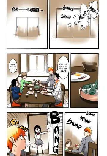 [Hamanasu] RUKIA'S ROOM (decensored) Fhentai - Page 15