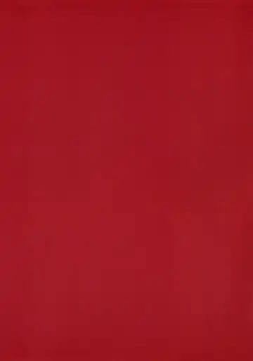 [Nanao] THE BOOK OF RIKO Fhentai - Page 12