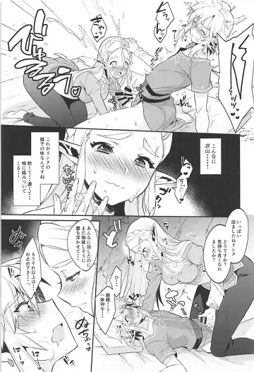[Morikoke] Hyrule Hanei no Tame no Katsudou! Fhentai - Page 12