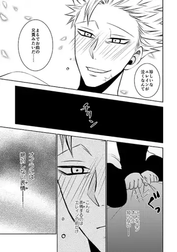 [Hikari] Imouto no Migawari Fhentai - Page 13