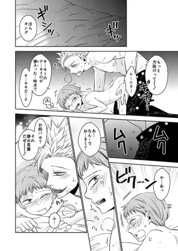 [Hikari] Yousei Ou to Fujimi Otoko no Ichiya no Ayamachi Fhentai - Page 26