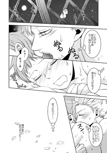 [Hikari] Yousei Ou to Fujimi Otoko no Ichiya no Ayamachi Fhentai - Page 28