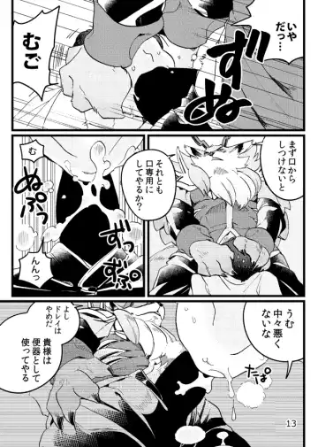 [Ichiboshi] Game Book Ryukaon no Shiro Fhentai - Page 11
